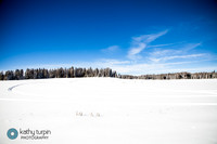 Palisade Winter Walk