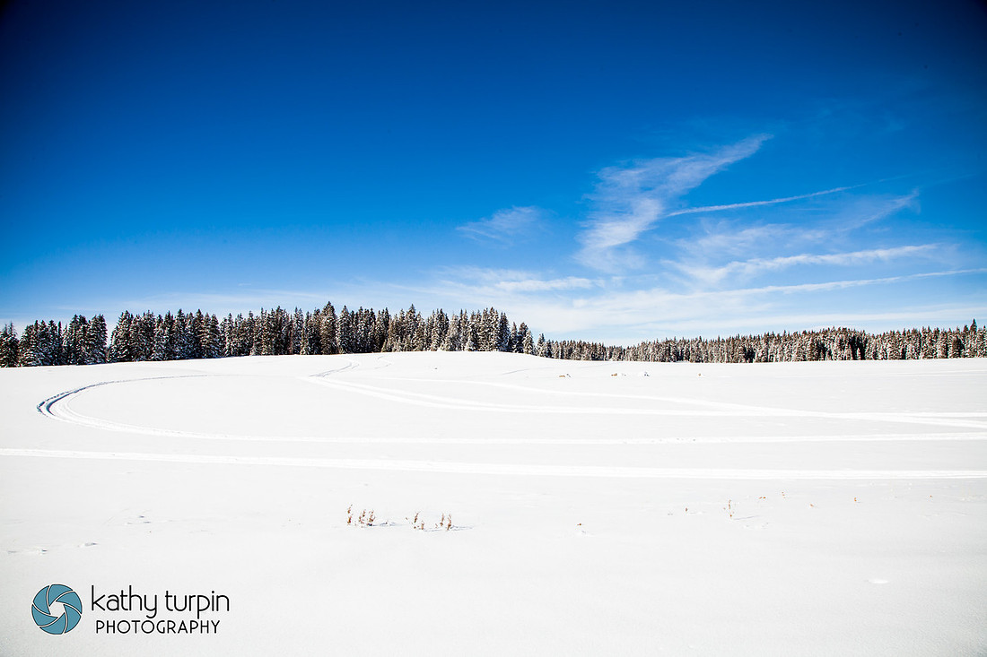 Grand Mesa Snow near Palisade, CO with Kathy Turpin Photography