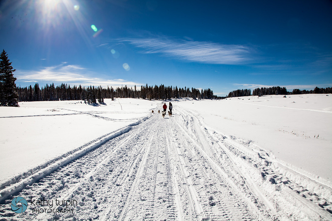 Grand Mesa Snow near Palisade, CO with Kathy Turpin Photography