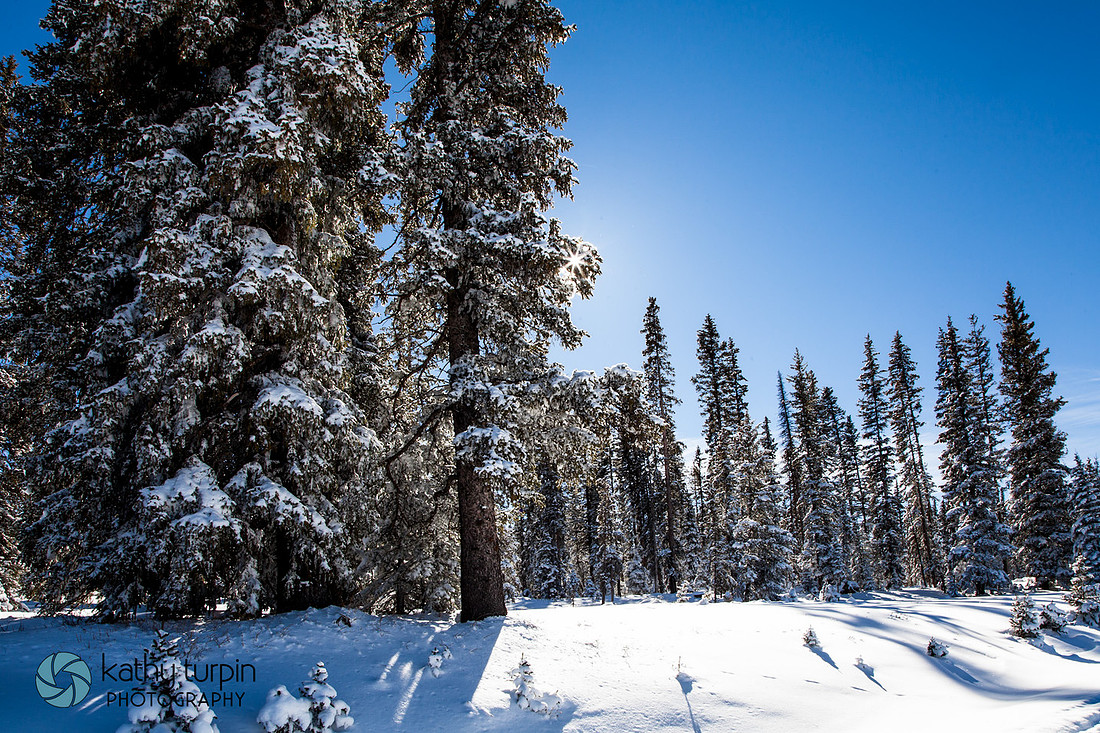 Grand Mesa Snow near Palisade, CO with Kathy Turpin Photography