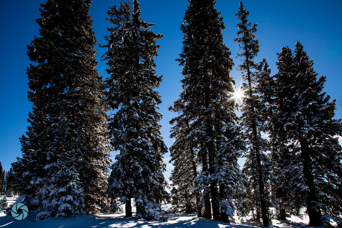 Grand Mesa Snow near Palisade, CO with Kathy Turpin Photography
