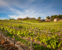 Commercial/Wise Villa Winery