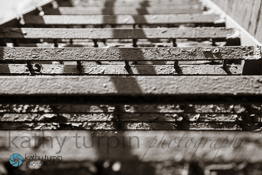 Pittsburgh Photography
